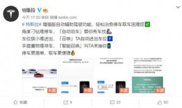 特斯拉爆料博主视频播放,揭秘博主视频背后的真实故事